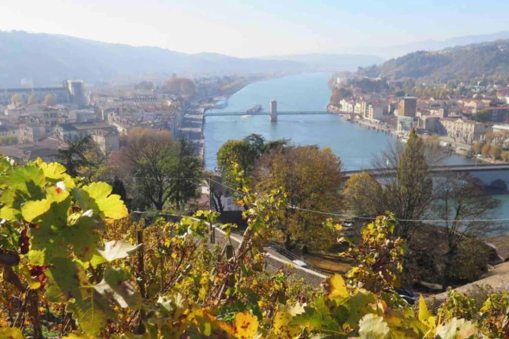 Appartement Vignes Nord Vienne (Isere)